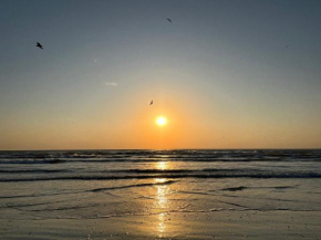 Excelsior Apartaments Mamaia Nord